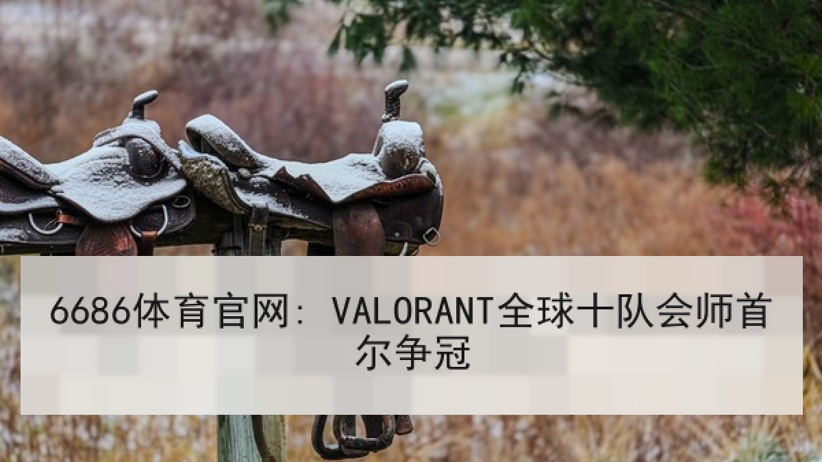 6686体育官网: VALORANT全球十队会师首尔争冠