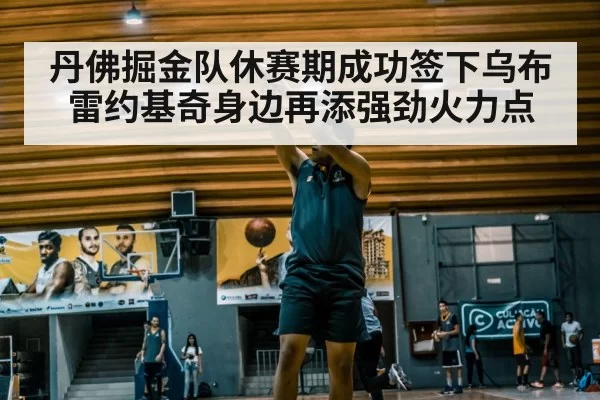 丹佛掘金队休赛期成功签下乌布雷约基奇身边再添强劲火力点