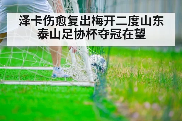 泽卡伤愈复出梅开二度山东泰山足协杯夺冠在望